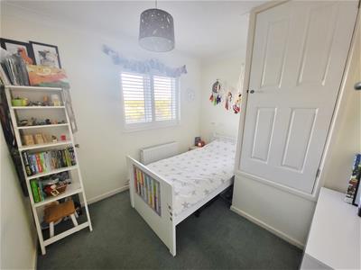 Picture 17